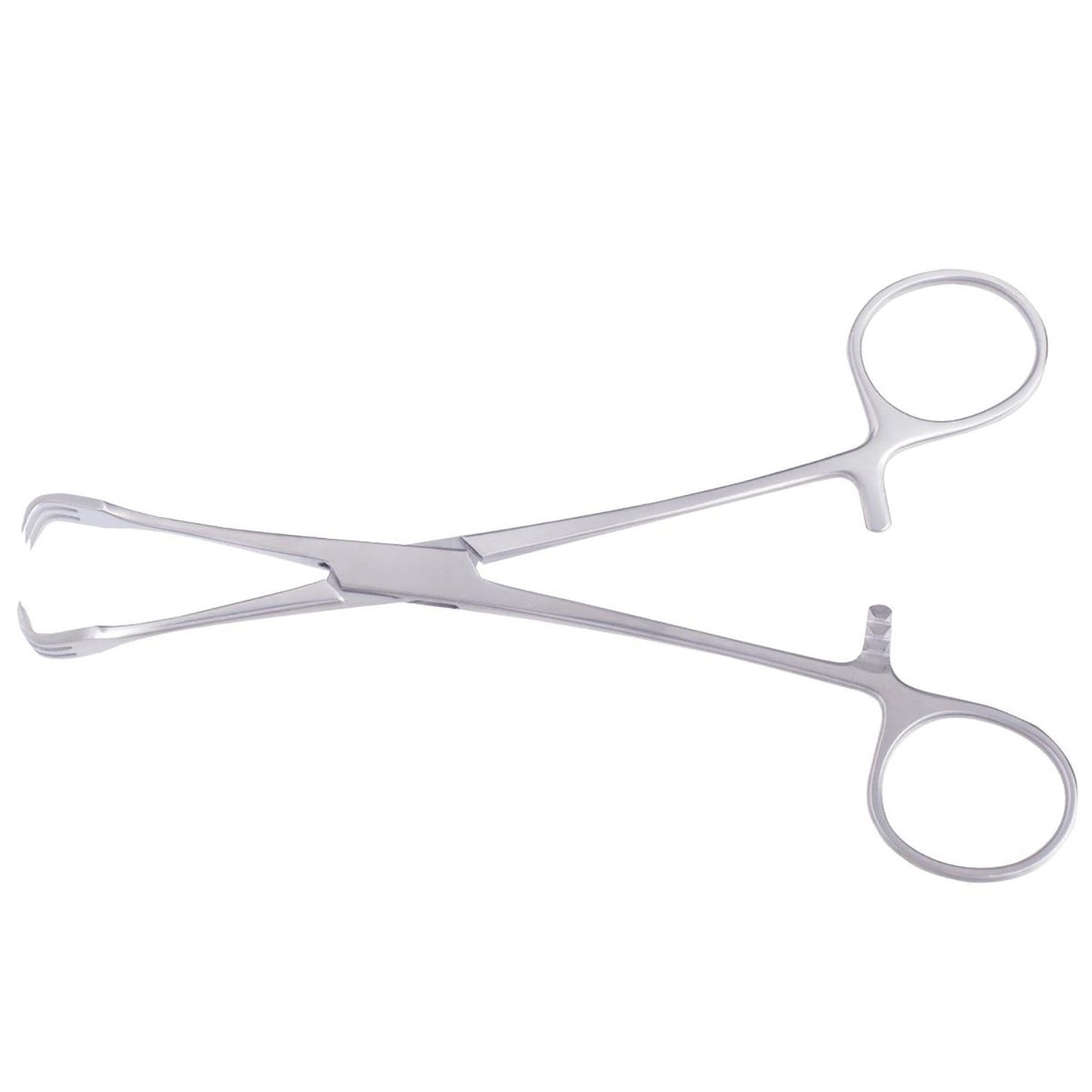 Lahey Goiter Vulsellum Forceps