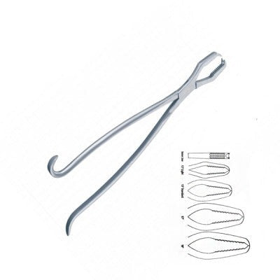 Lane Bone Holding Forceps Multiple Sizes