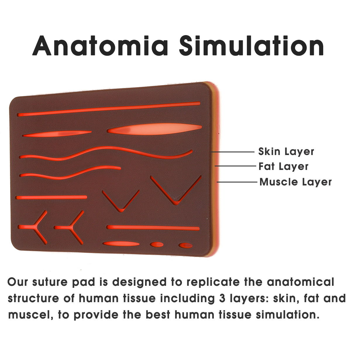 Medical Suture Training Kit