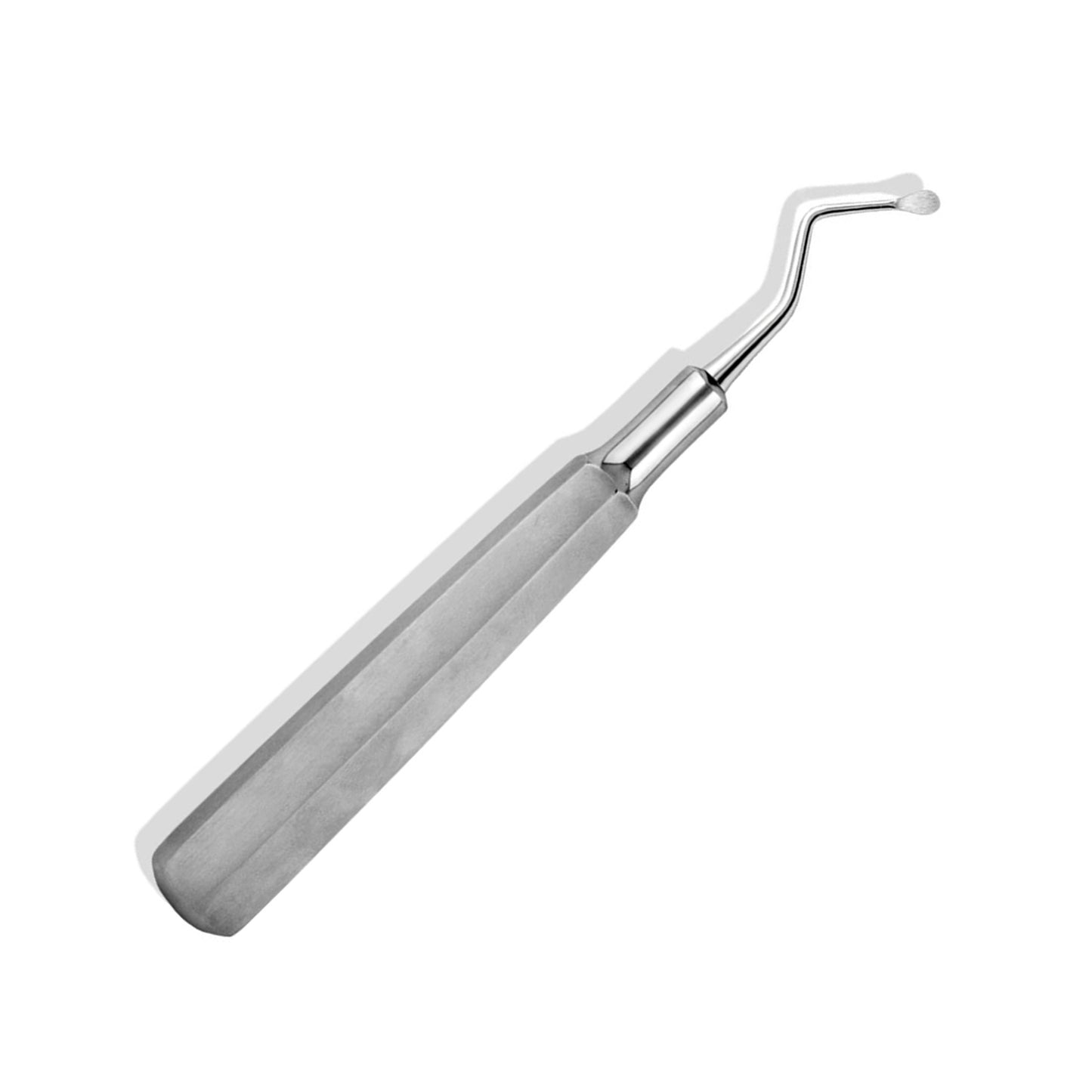 Molt Bone Curette