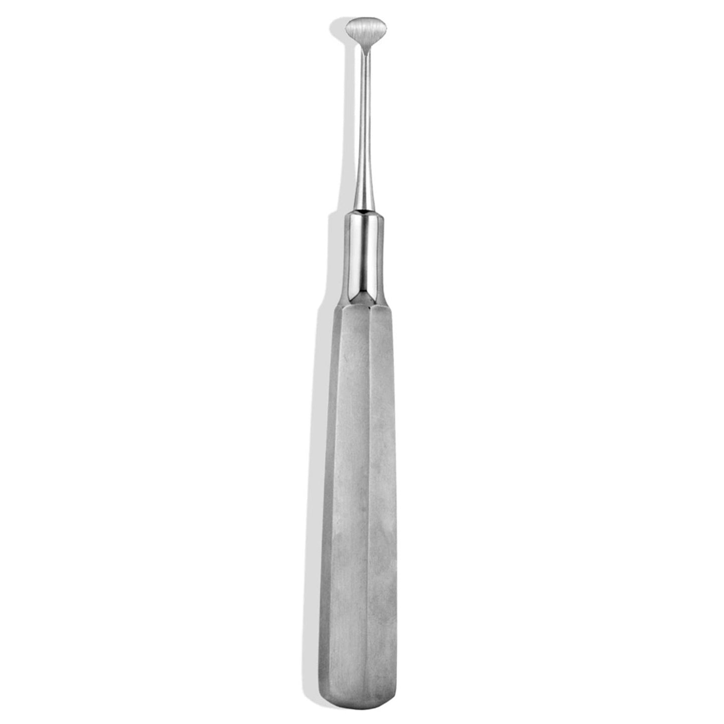 Molt Curette Instruments