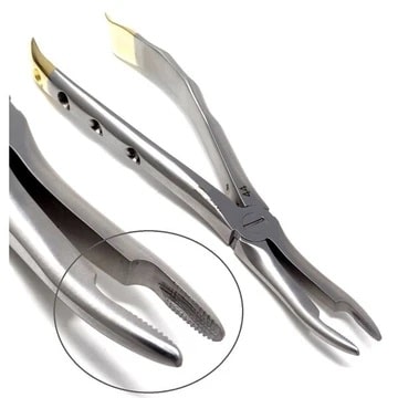 Orthodontic Extracting Forceps