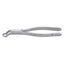 Orthodontic Extracting Forceps