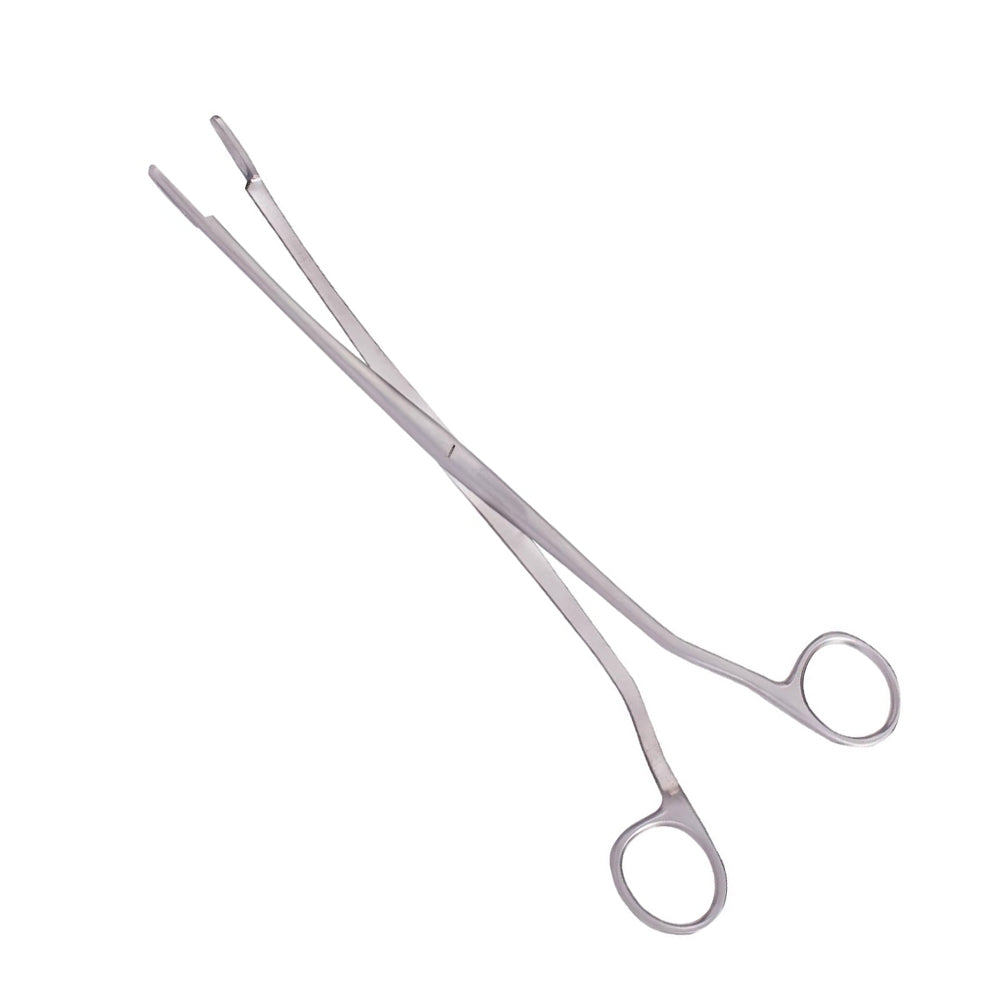 Rochester Gall Stone Forceps