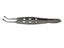 Expressor Forceps