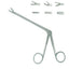 Schlesinger Rongeur IVD Straight