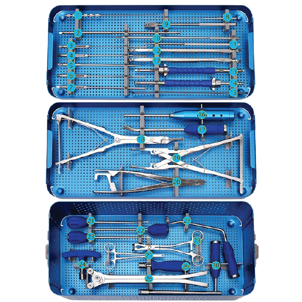 Spinal Pedicle Screw System