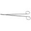Strully Dissecting Scissors