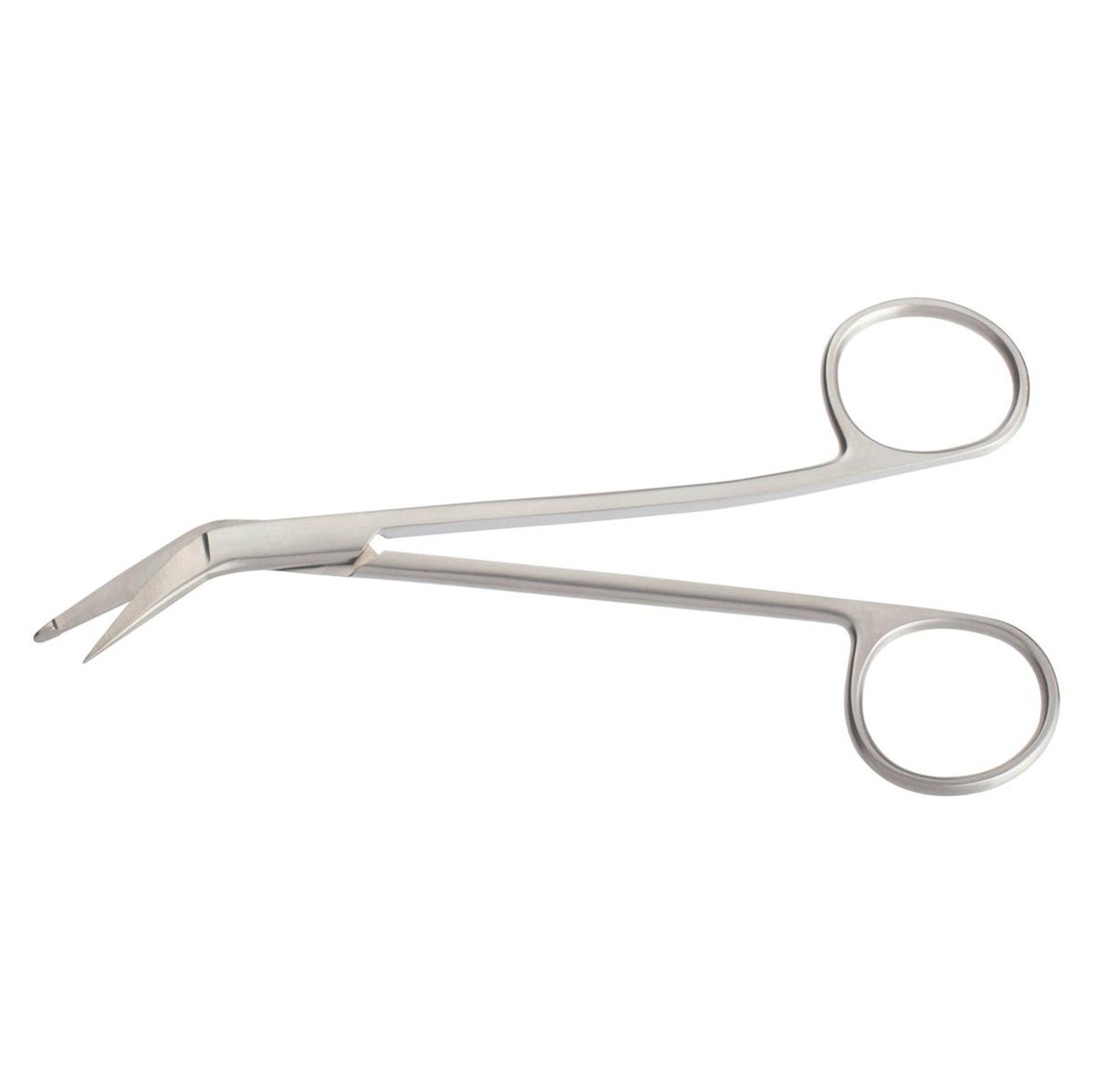 Taylor Brain Scissors