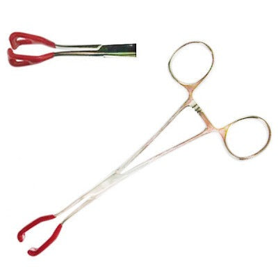 Tongue and Cheek Forceps