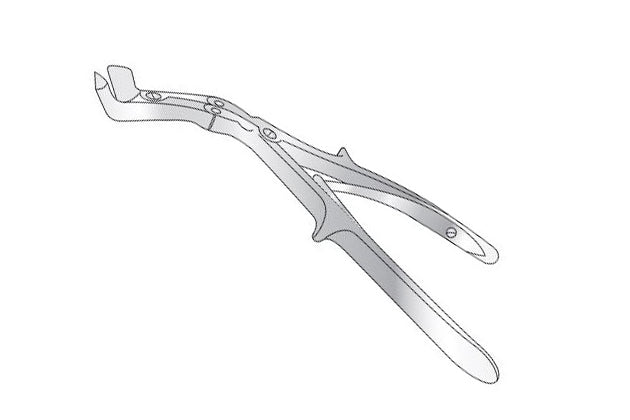 Tudor Edwards Rib Shears, Posterior