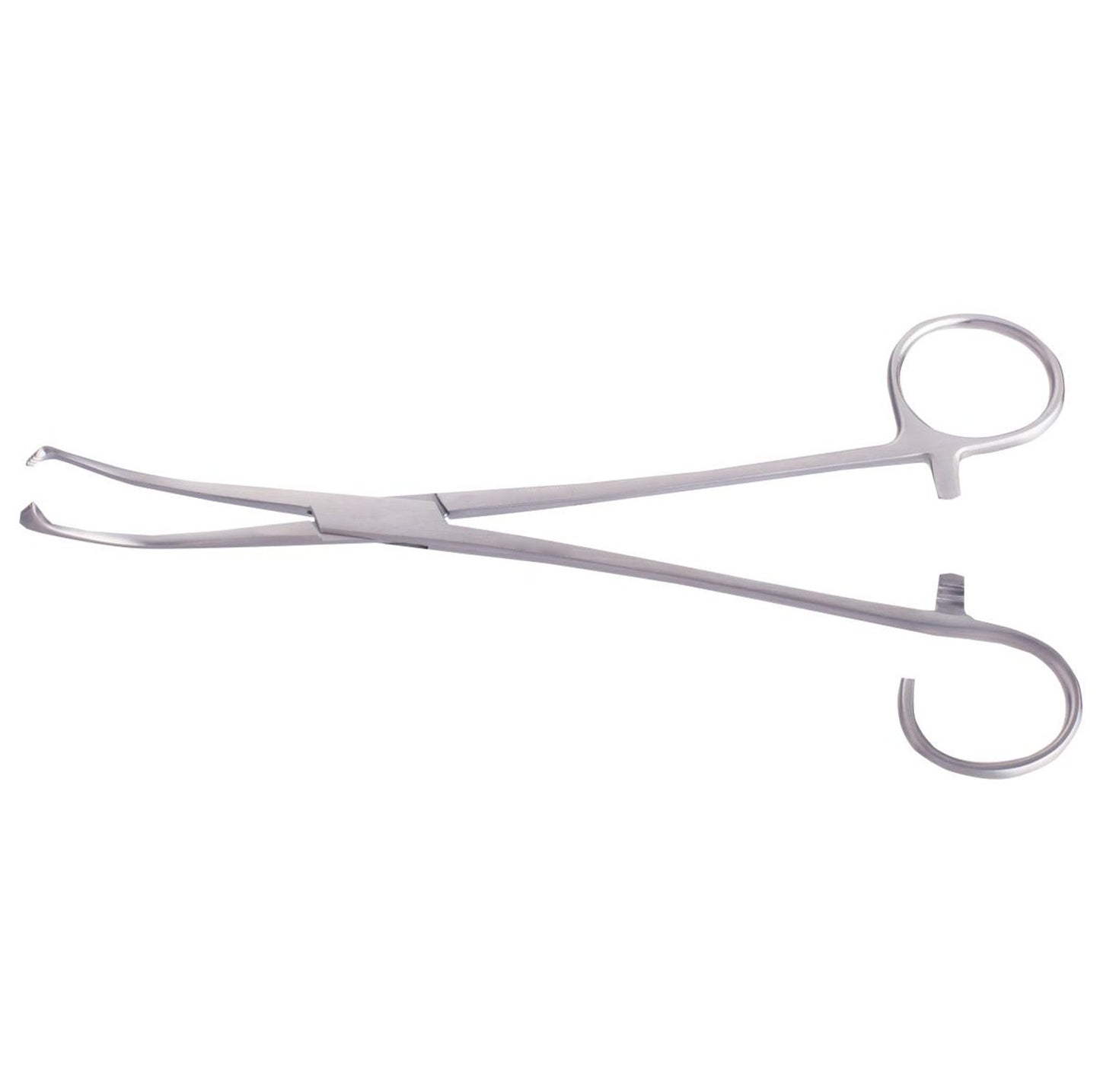 White-lillie Tonsil Seizing Forceps