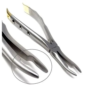 Gold Handle Dental Extracting Forceps for Controlled Tooth Removal