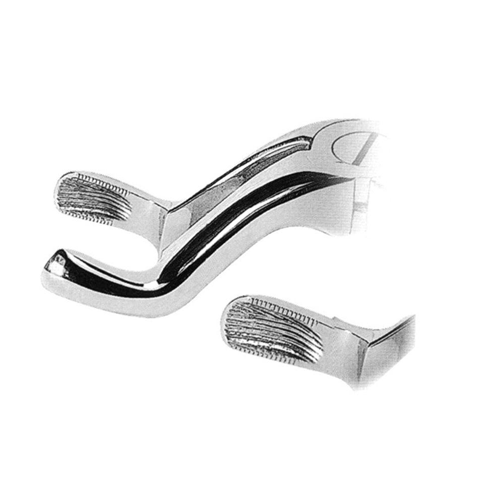 Tooth Extraction Forceps