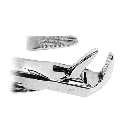 Orthodontic Anatomically Shaped Handle