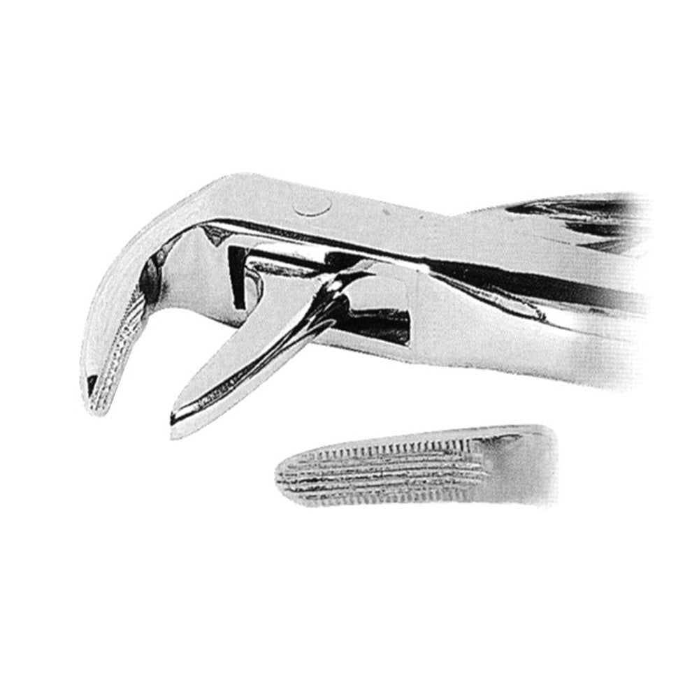 Orthodontic Anatomically Shaped Handle