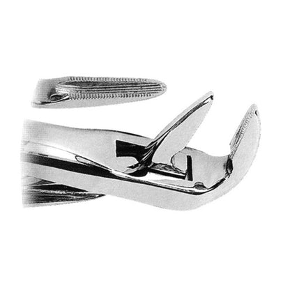 Dental Plane Extraction Forceps