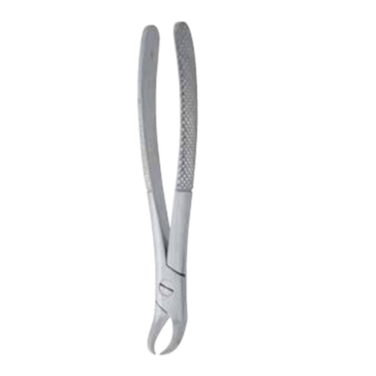Molar Extracting Forceps – 125mm German Stainless Steel Molar Tooth Extraction Forceps