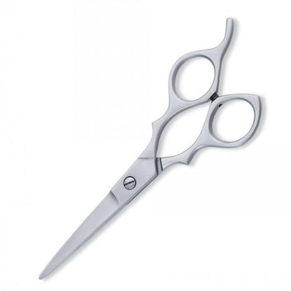 Hair Dressing Scissors