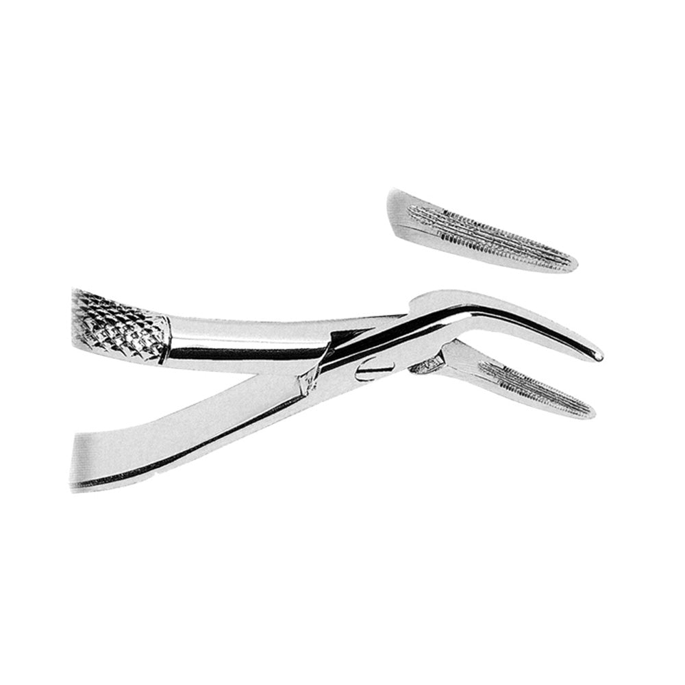Witzel Upper Roots with Serrated Tips