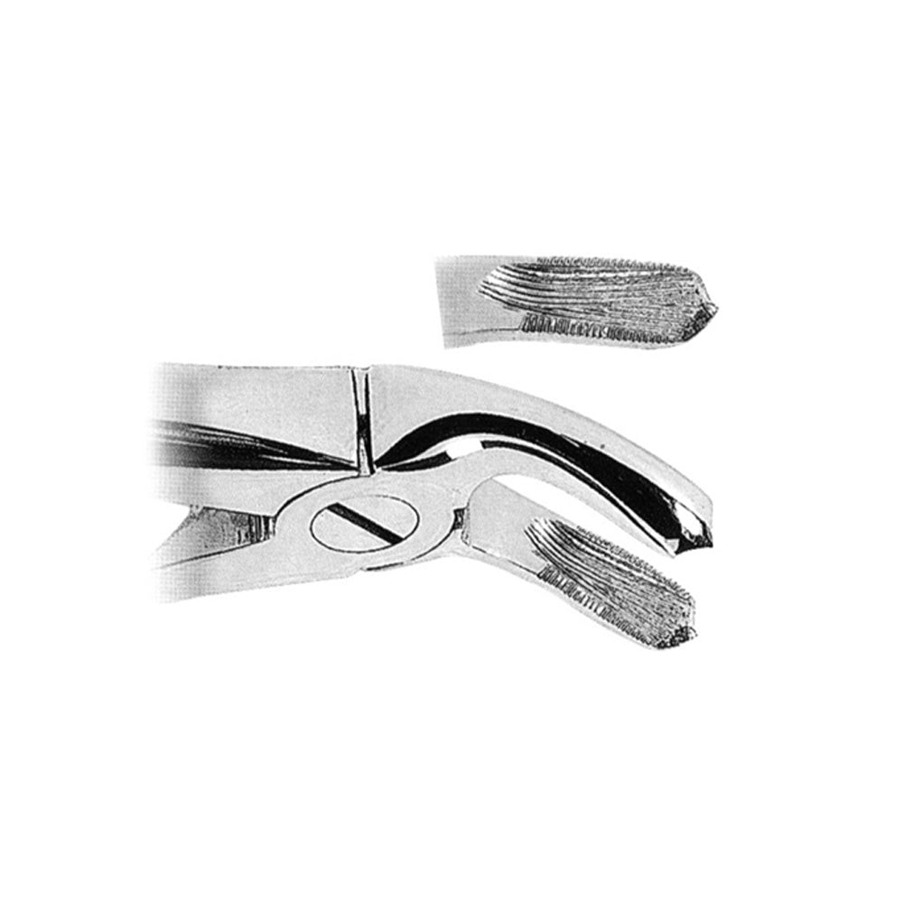 Extracting Forceps Upper Molars Right Serrated Fig. 18