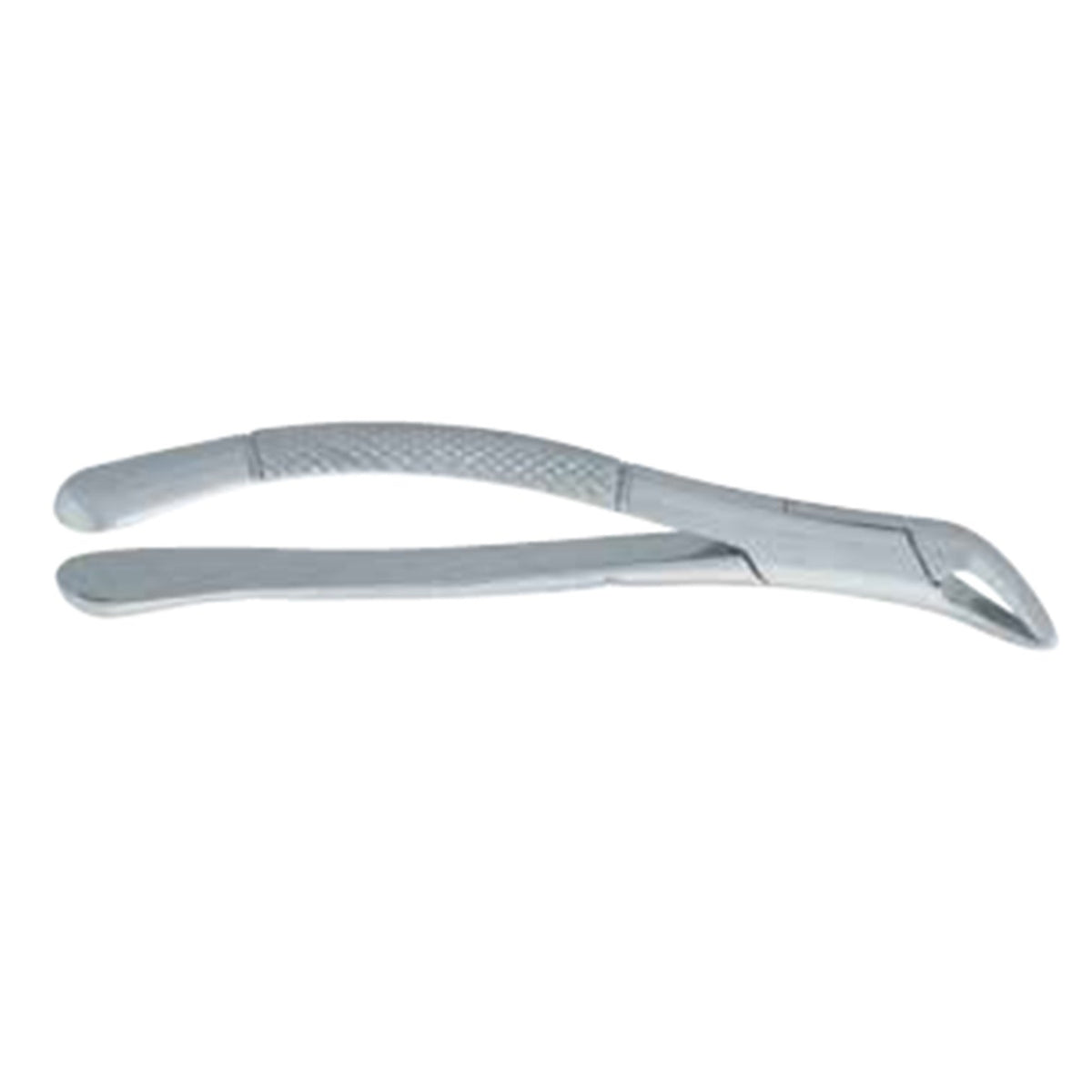 Dentist Extracting Forceps
