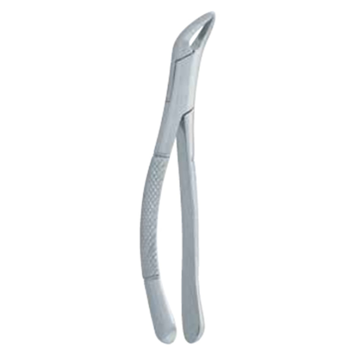 Dentist Extracting Forceps
