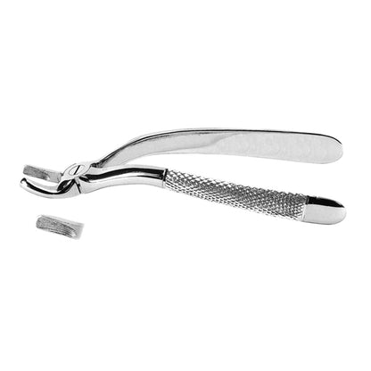 Extracting Forceps Upper Third Molars with Serrated Tips