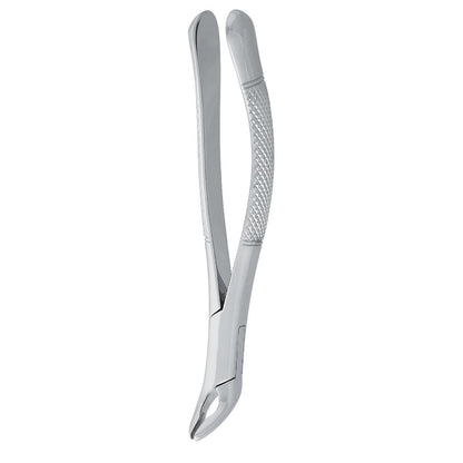 Premolar Forceps with 125mm Dental Extraction Pattern