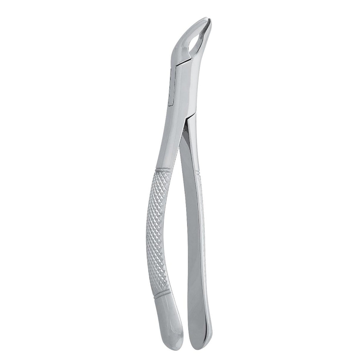 Premolar Forceps with 125mm Dental Extraction Pattern