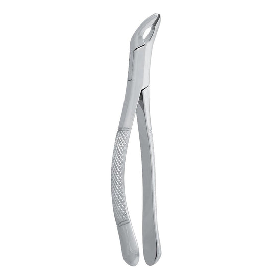 Premolar Forceps with 125mm Dental Extraction Pattern