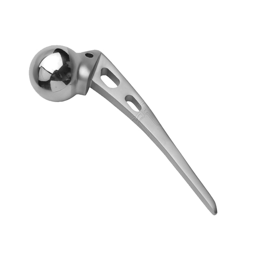 Austin Moore Hip Prosthesis Excel Stainless Steel