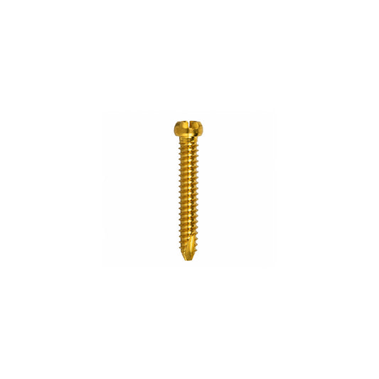 Astute股関節骨折ネイルロッキングスクリュー Ø5.0mm