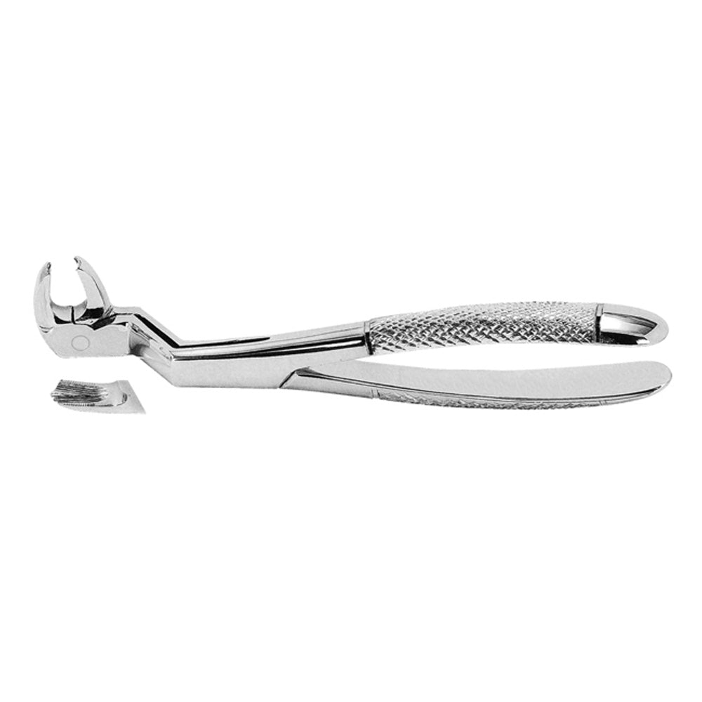Extracting Forceps Lower Molars and Third Molars Right With Serrated Tips
