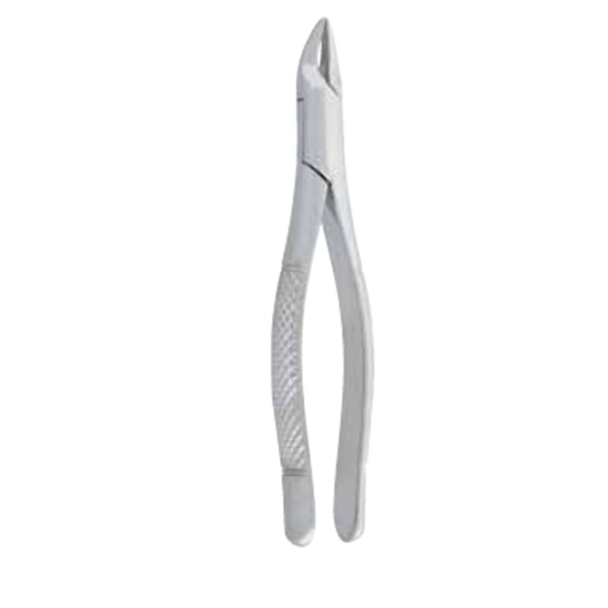 Upper Root Extracting Forceps 125mm