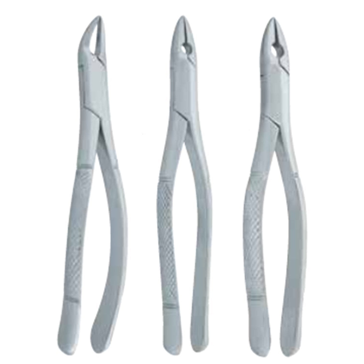 Extracting Forceps 3pcs Set