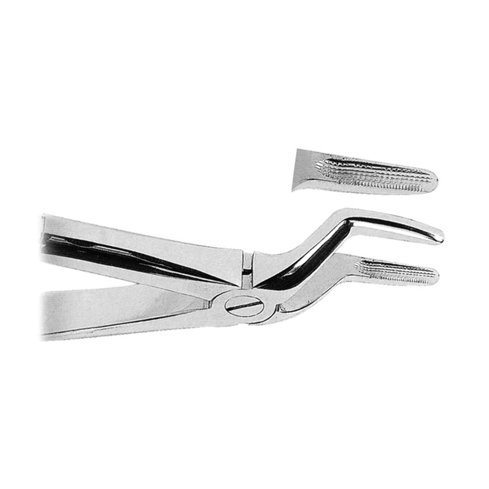 Extracting Forceps Upper Roots With Serrated Tips