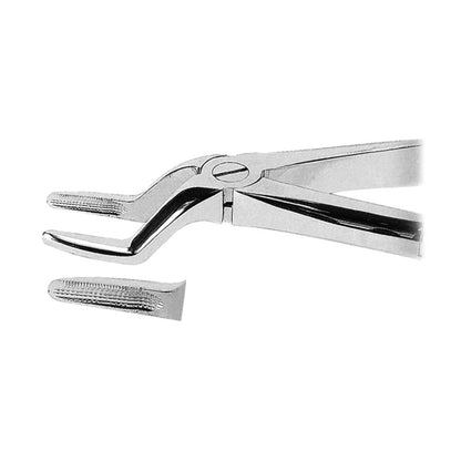 Extracting Forceps Upper Roots With Serrated Tips