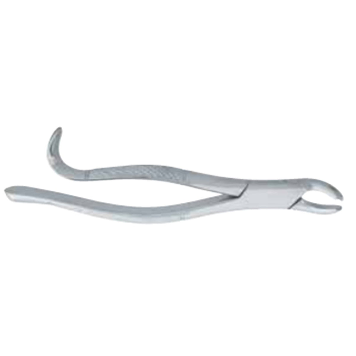 Extracting Forceps Orthodontic with 13.5cm Dental Extraction Pattern