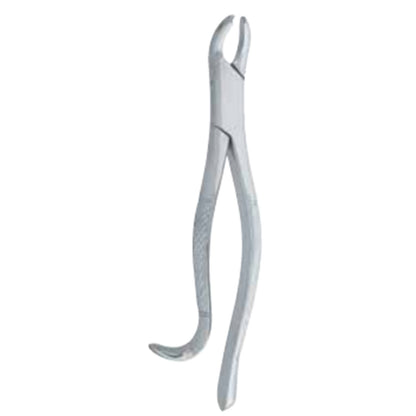 Extracting Forceps Orthodontic with 13.5cm Dental Extraction Pattern