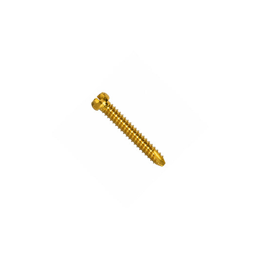 Astute股関節骨折ネイルロッキングスクリュー Ø5.0mm