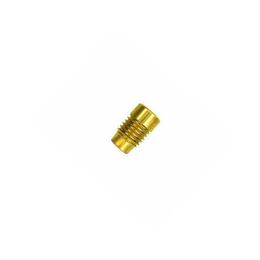 End Cap Screw for Perfect Tibial Nails