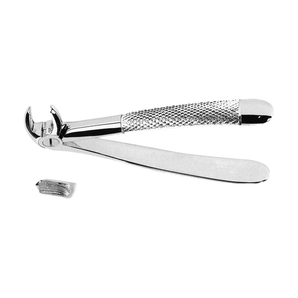 Extracting Forceps Lower Molars Right With Serrated Tips