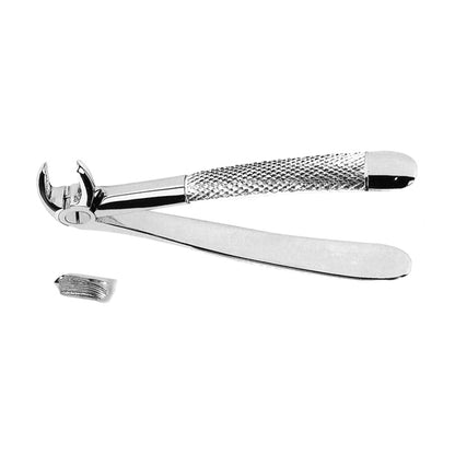 Extracting Forceps Lower Molars Right With Serrated Tips