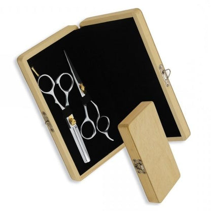 Professional Hairdressing Scissors Set