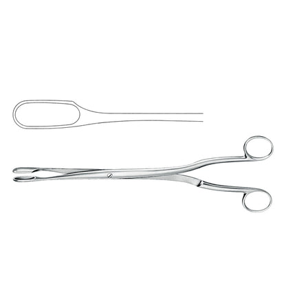 Ovum Forceps 28cm