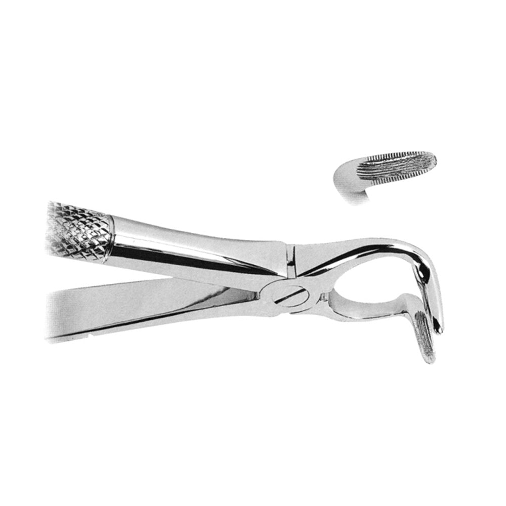 Orthodontic Extracting Forceps Lower Roots