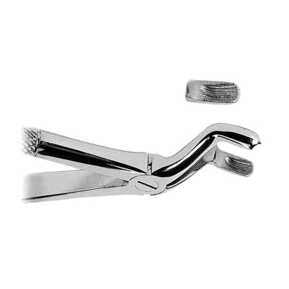 Upper Third Molar Extraction Forceps Right – Serrated Tips
