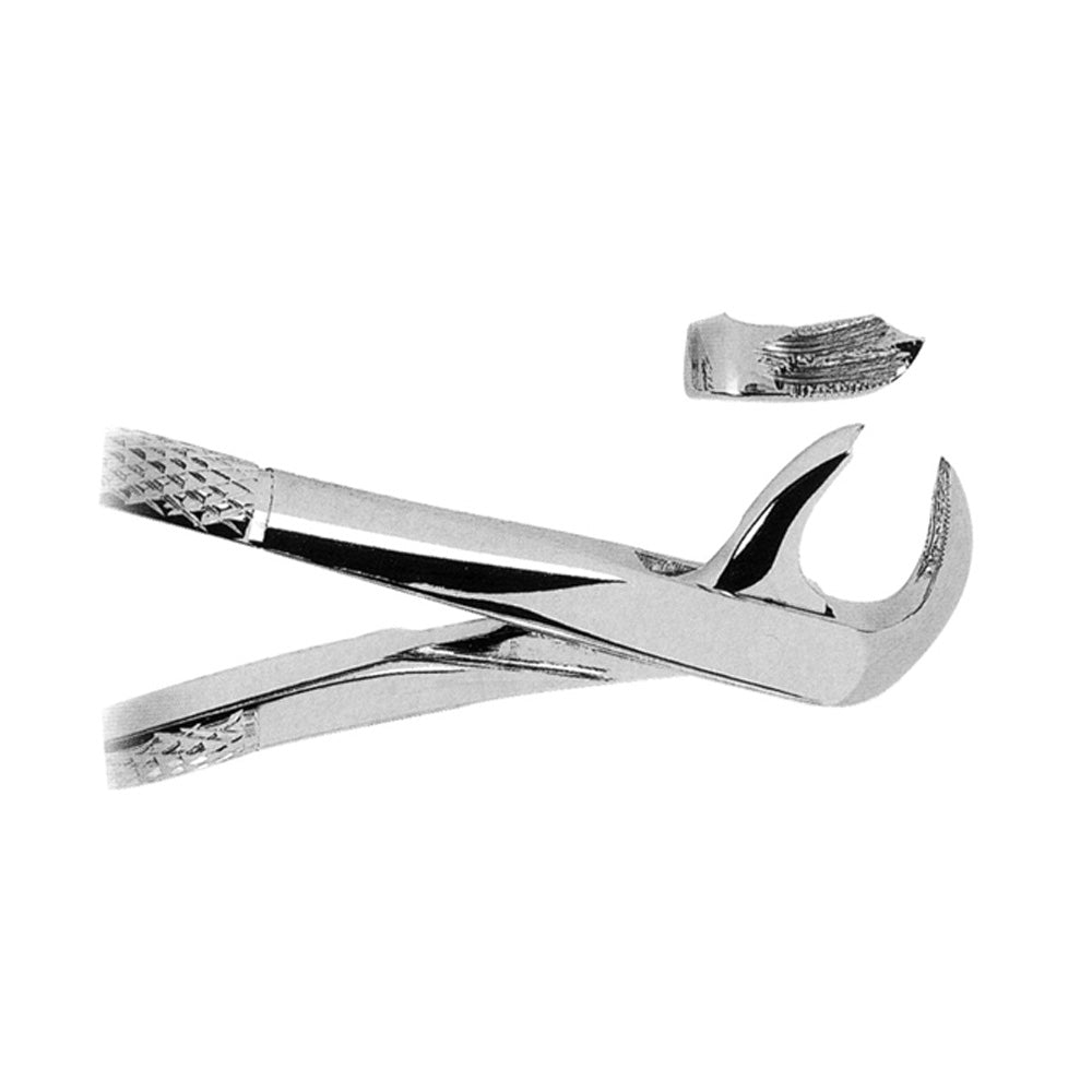 Extracting Forceps Lower Molars With Serrated Tips