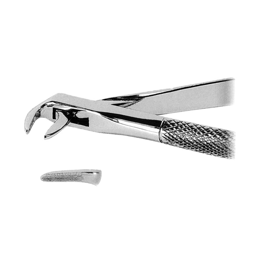 Mandibular Extracting Forceps Lower Roots